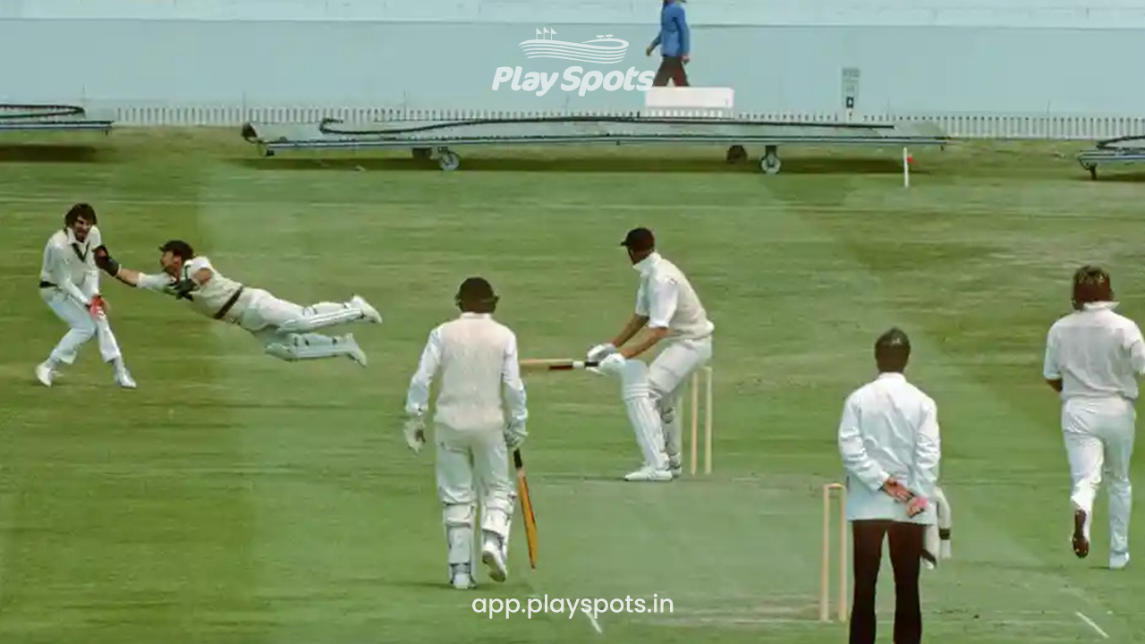 Amazing interesting facts about cricket