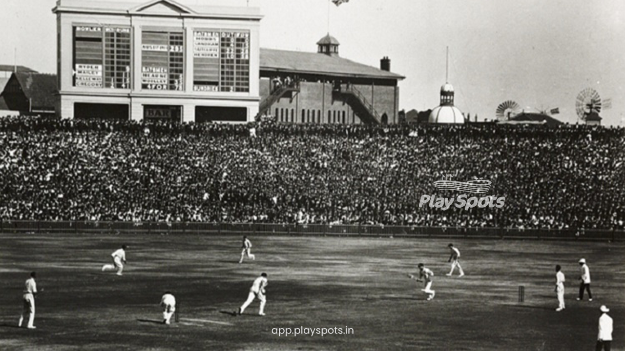 Amazing interesting facts about cricket