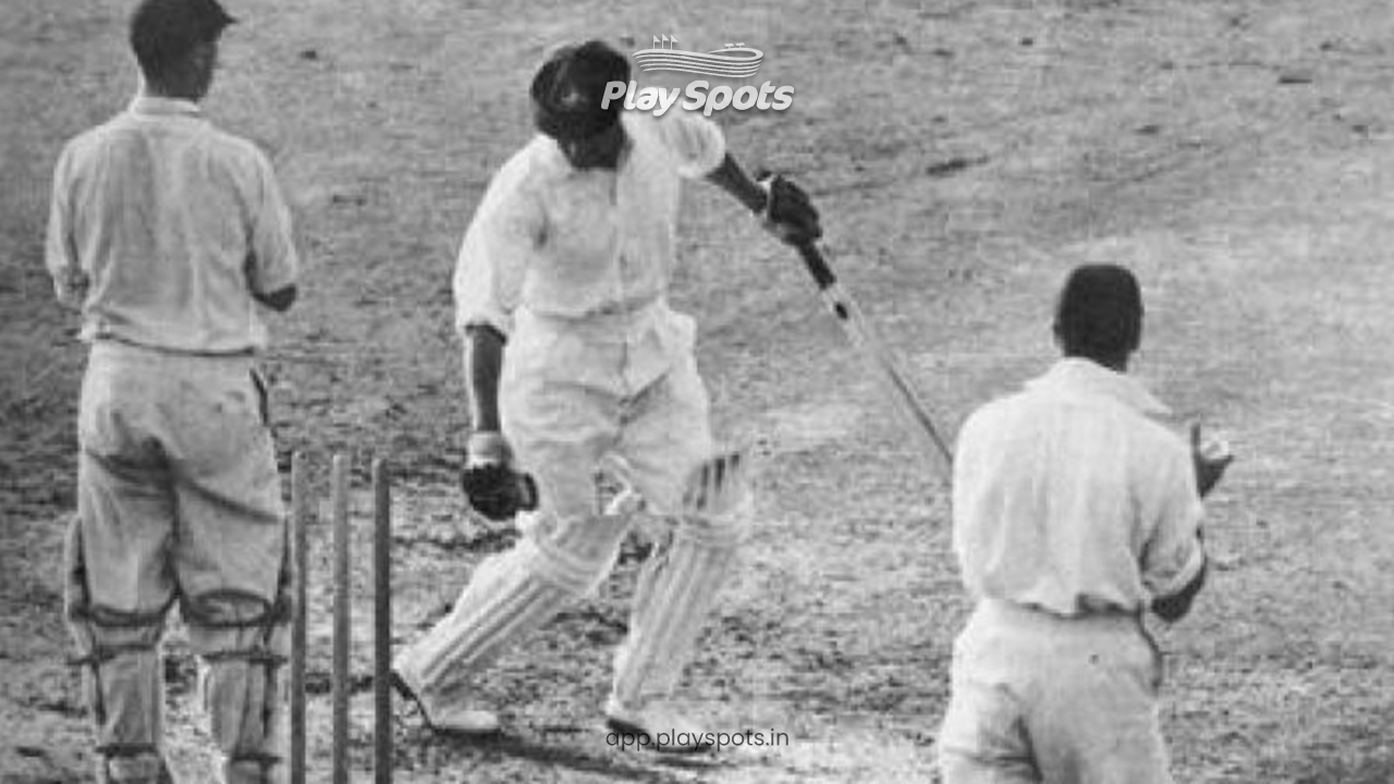 Amazing interesting facts about cricket