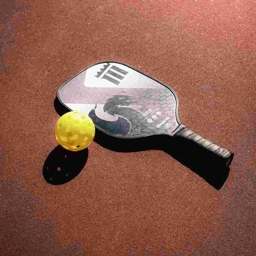Pickleball  – The Fastest Growing Sport in the World
