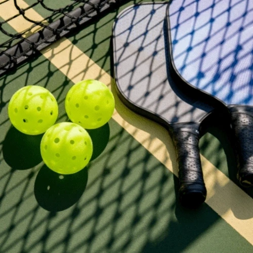 Pickleball  – The Fastest Growing Sport in the World